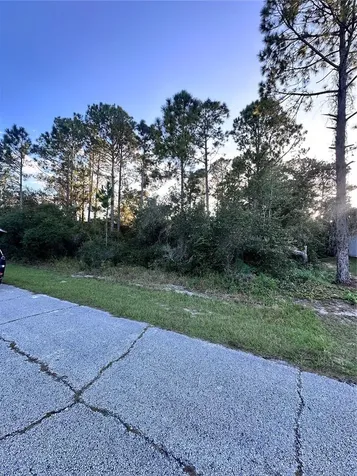 1548 Mediterranean Drive Kissimmee FL 34759