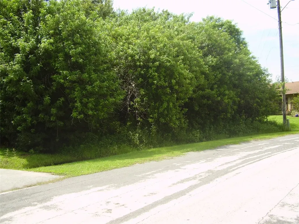 321 Caen Court Kissimmee FL 34759