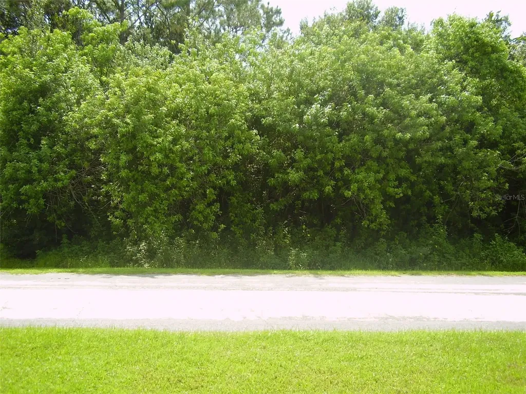 321 Caen Court Kissimmee FL 34759