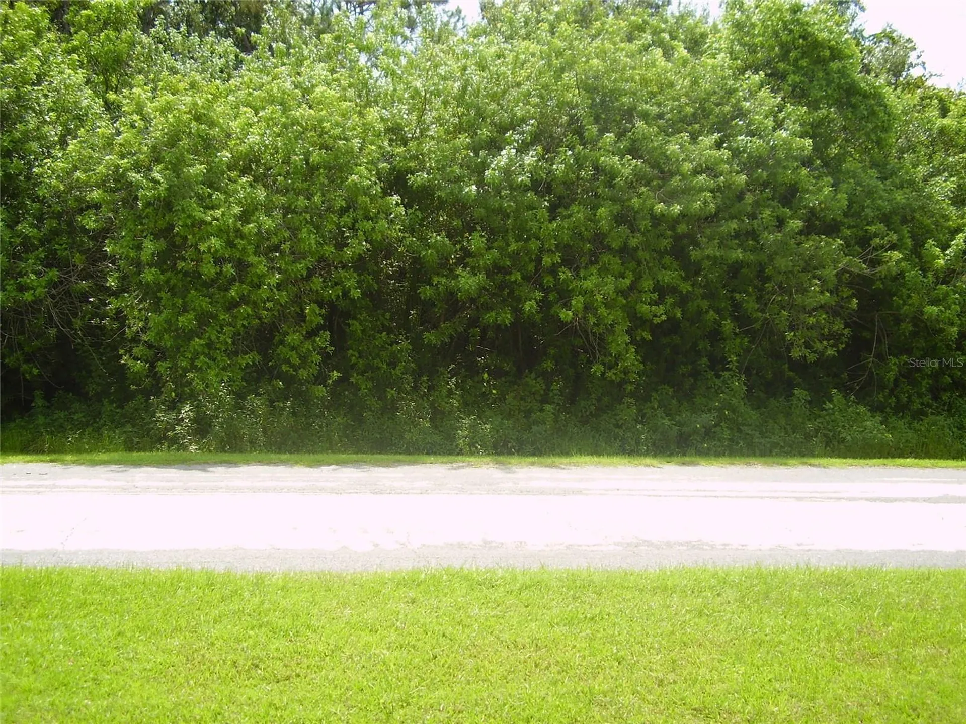 321 Caen Court Kissimmee FL 34759