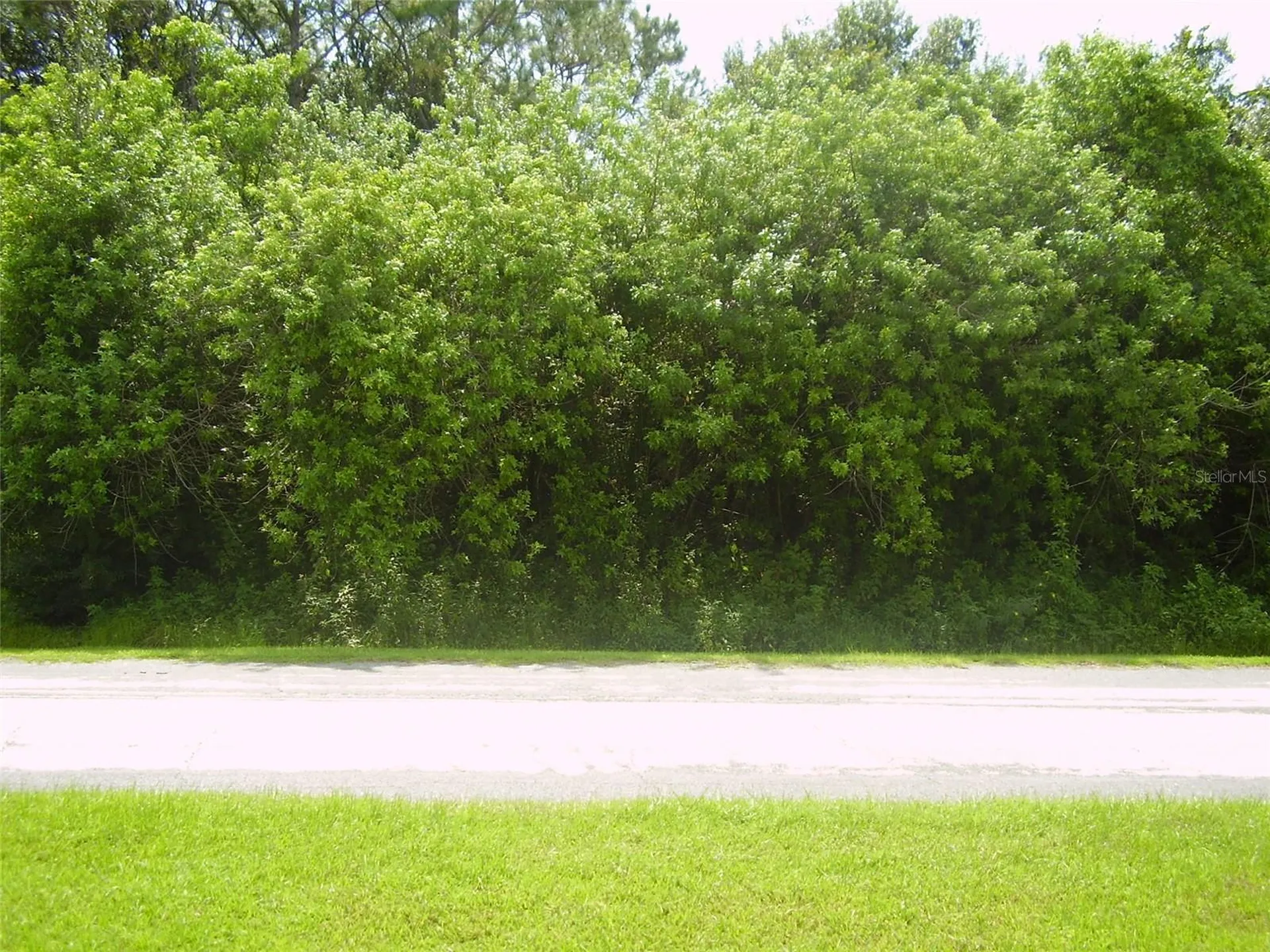 321 Caen Court Kissimmee FL 34759