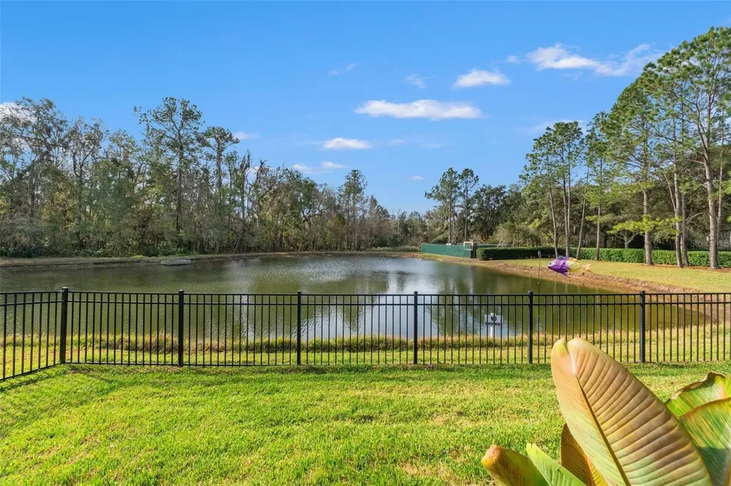 19770 Tattnall Way Brooksville FL 34601