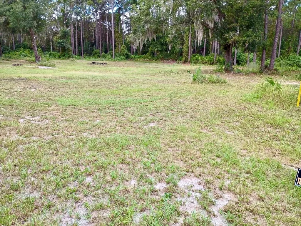 Georgetown FL 32139