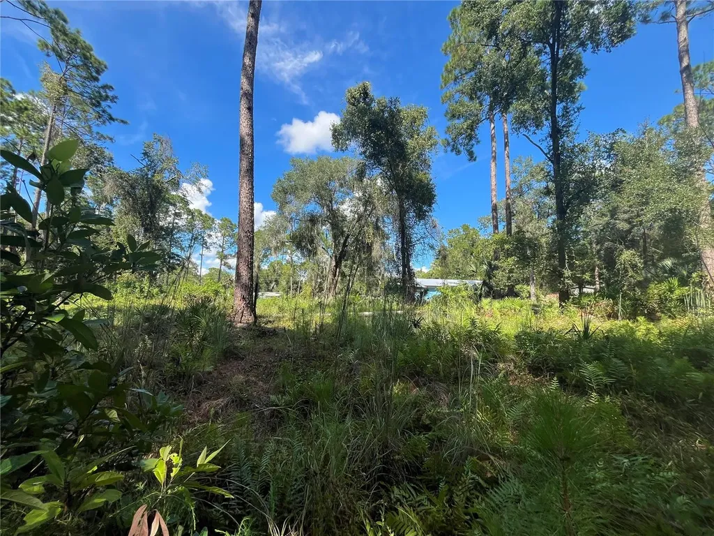 Georgetown FL 32139