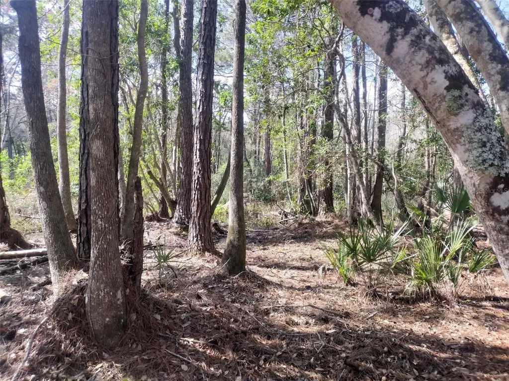 Georgetown FL 32139