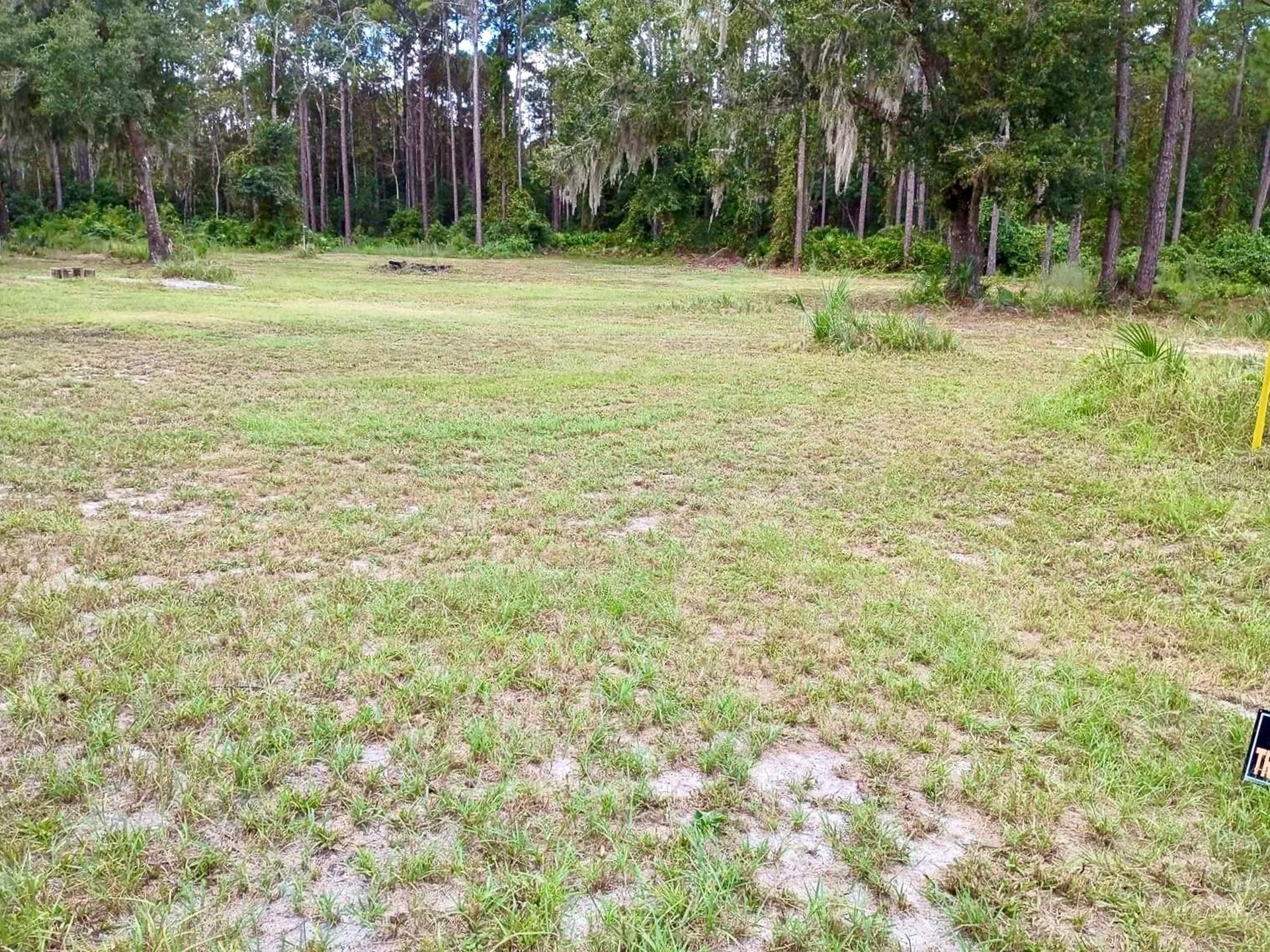 Georgetown FL 32139