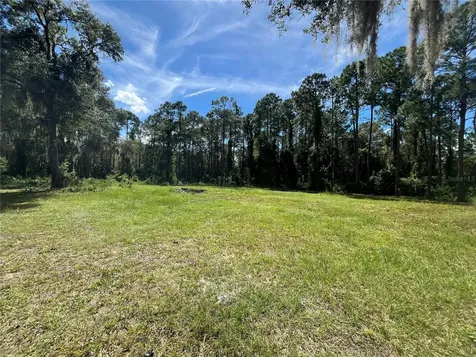 Georgetown FL 32139