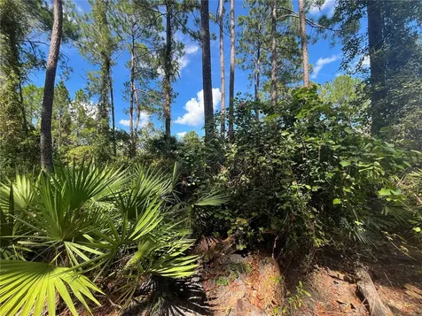 Georgetown FL 32139