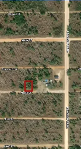 Lot 45 & 46 Maple Drive Interlachen FL 32148