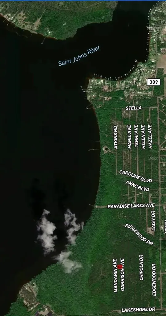 131 Garrison Avenue Georgetown FL 32139