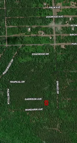 131 Garrison Avenue Georgetown FL 32139