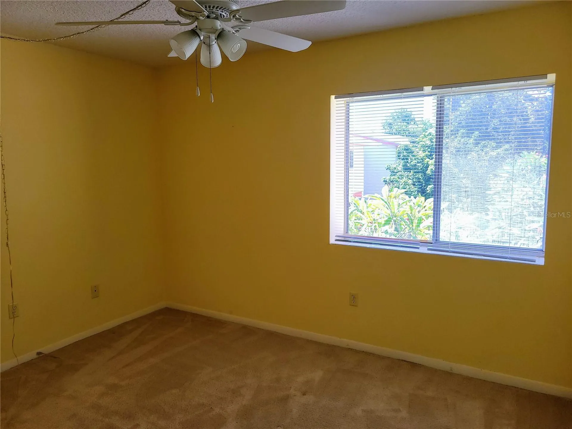 1635 58th Terrace S St Petersburg FL 33712