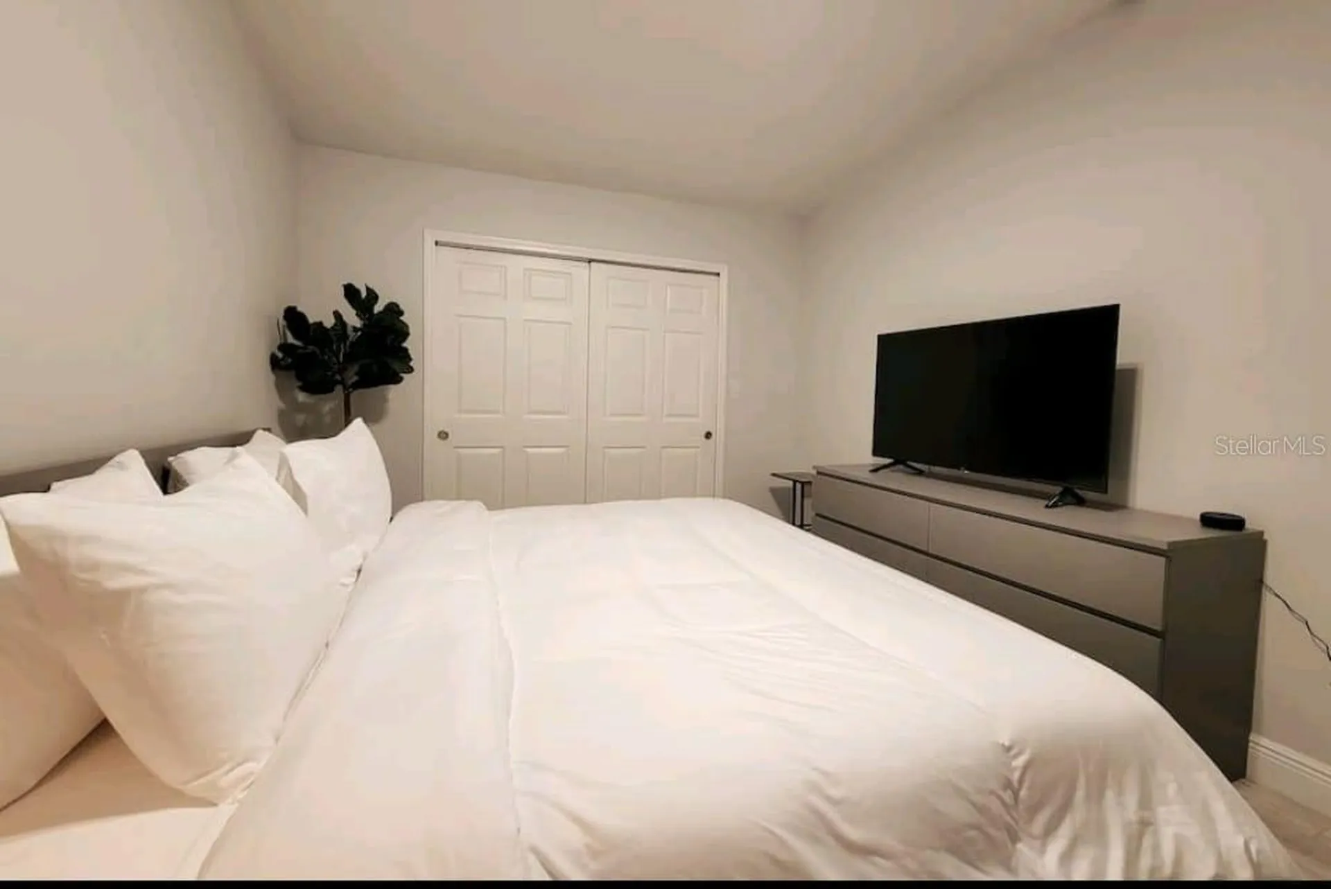 5825 N Thatcher Avenue Tampa FL 33614