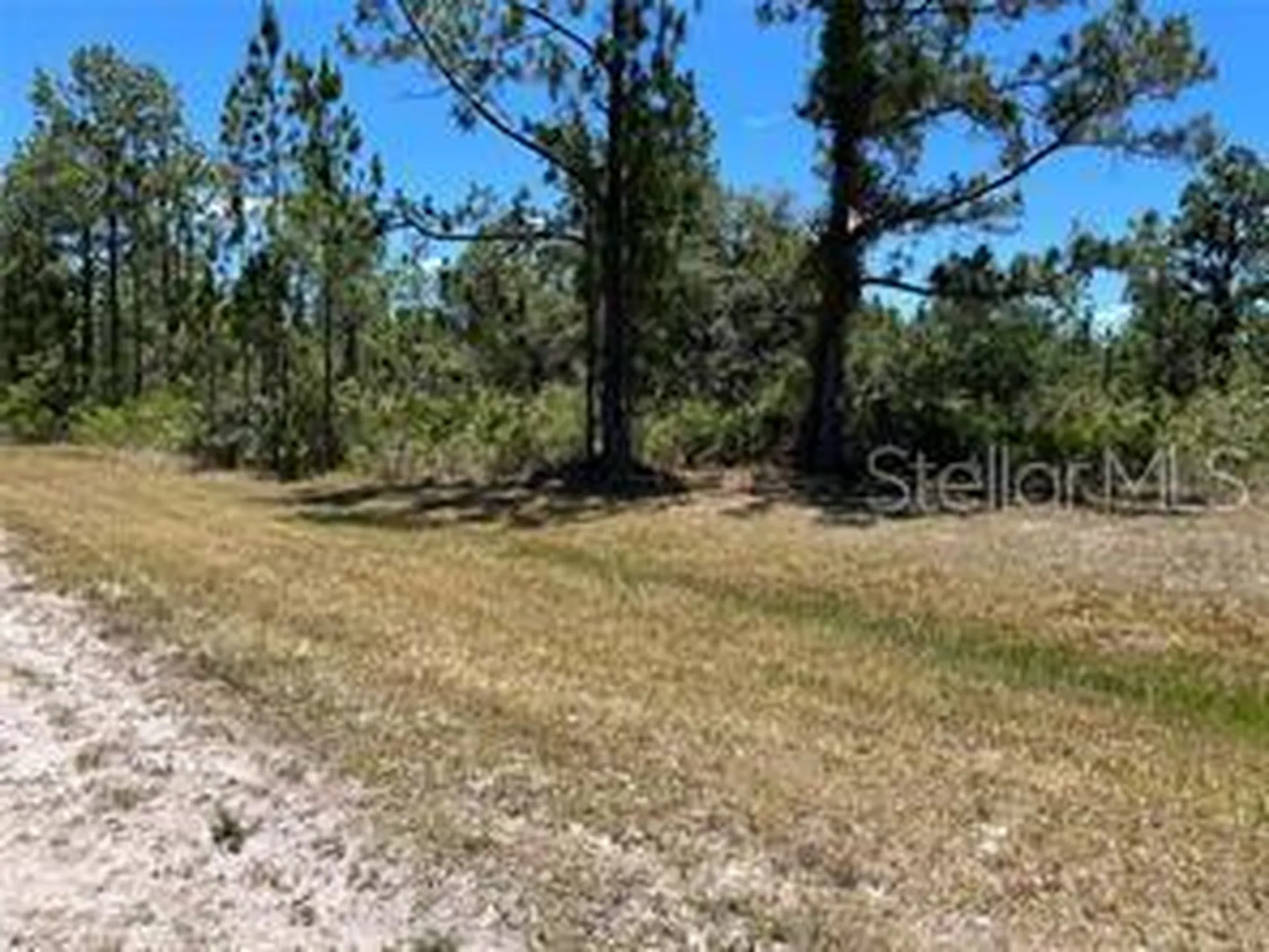 918 Japonica Drive Indian Lake Estates FL 33855