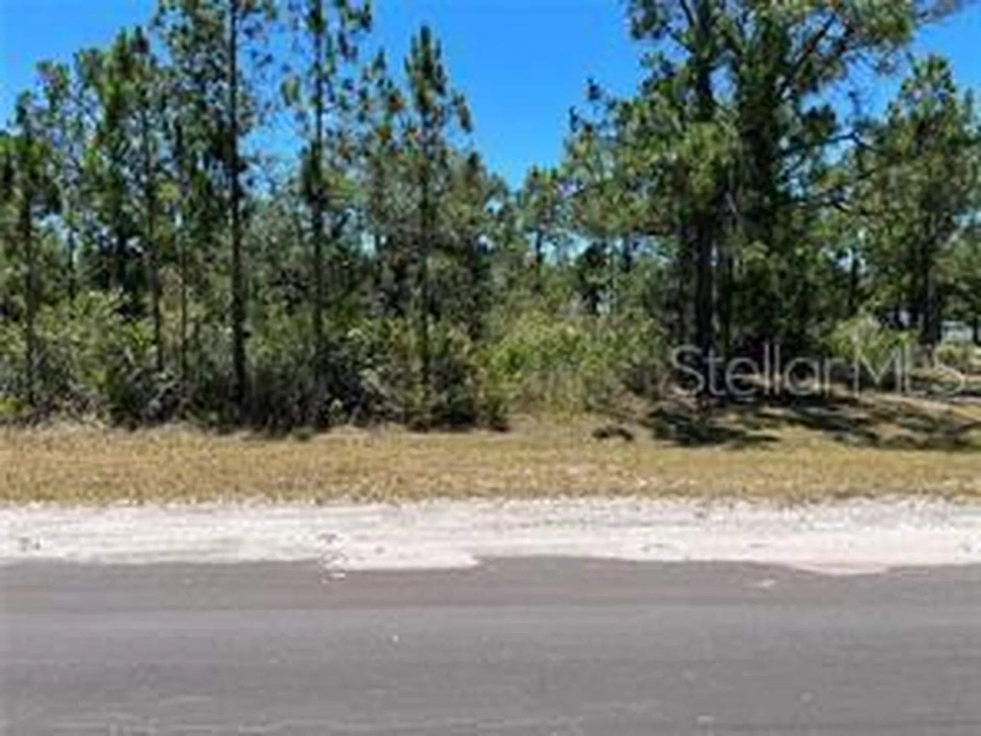 918 Japonica Drive Indian Lake Estates FL 33855