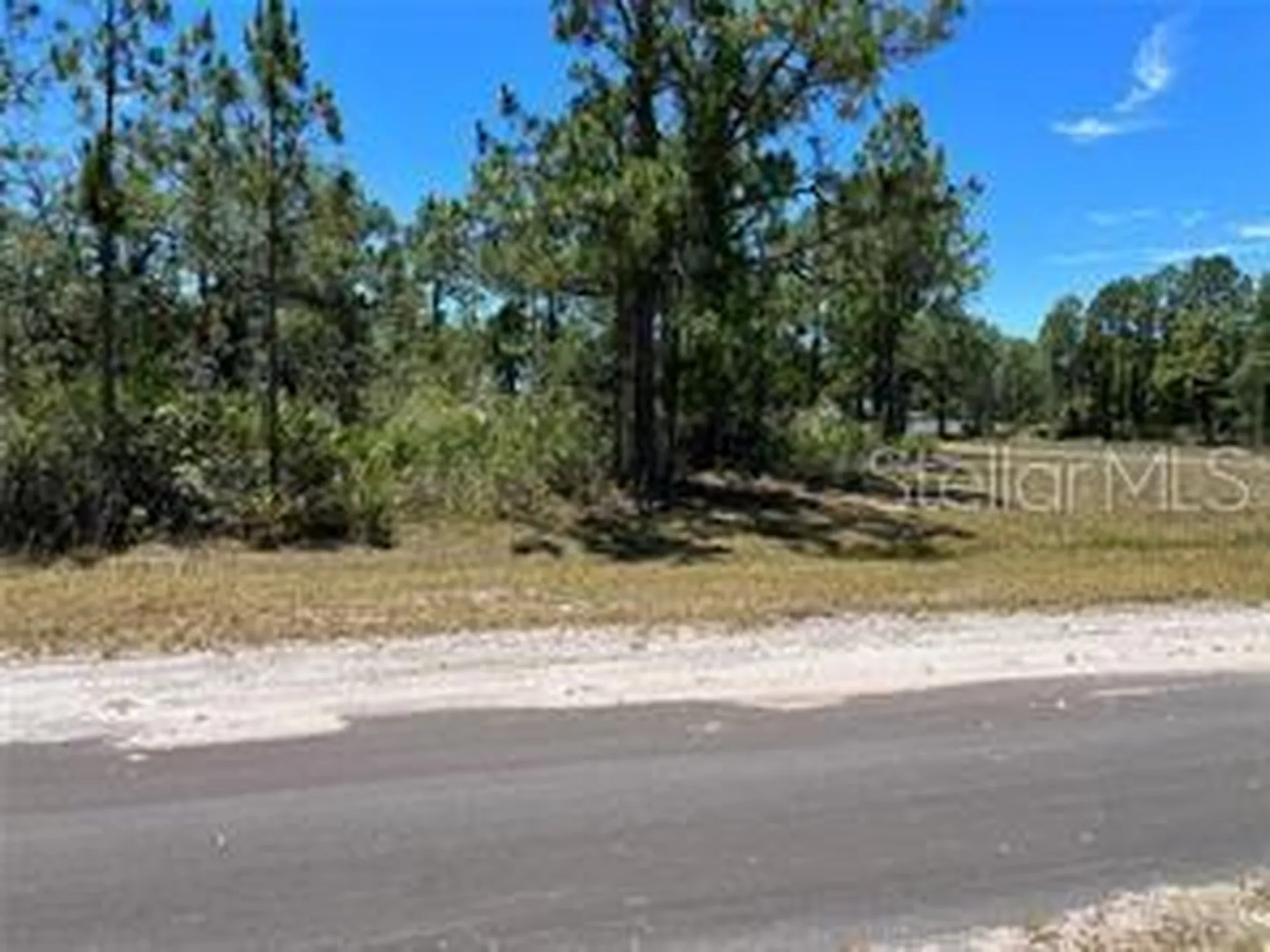 918 Japonica Drive Indian Lake Estates FL 33855