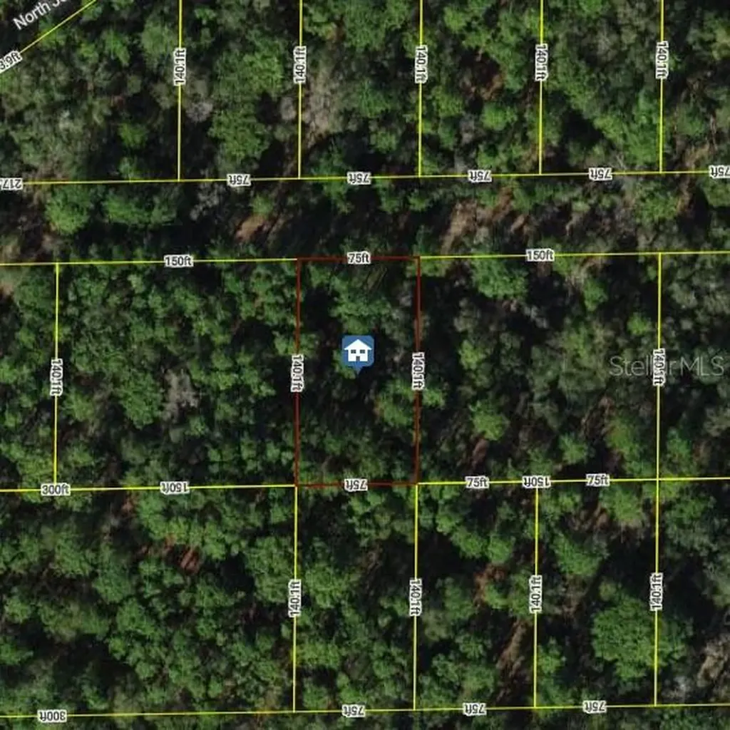 7334 W Contentment Lane Dunnellon FL 34433