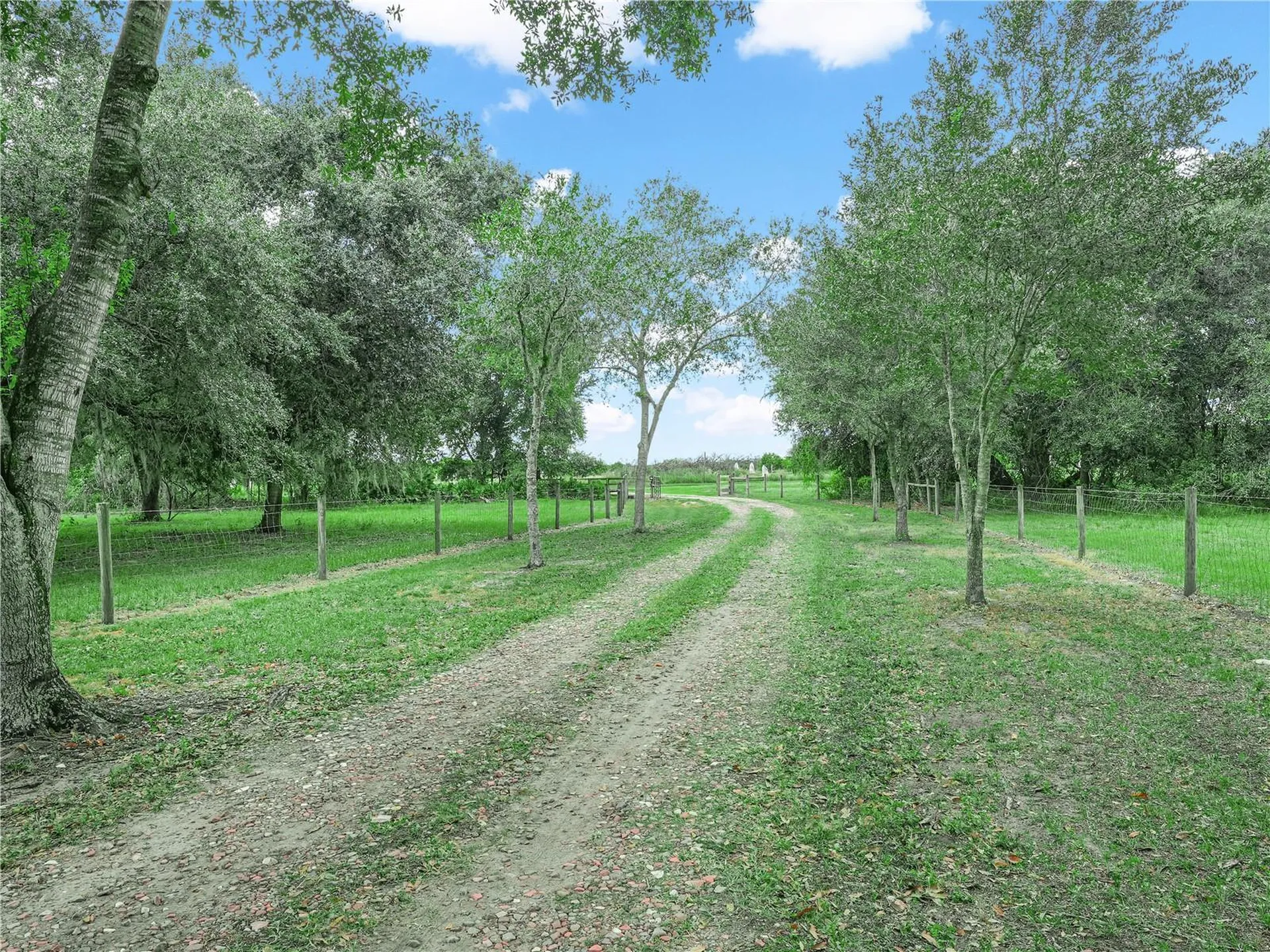 3963 Mammoth Grove Road Lake Wales FL 33898