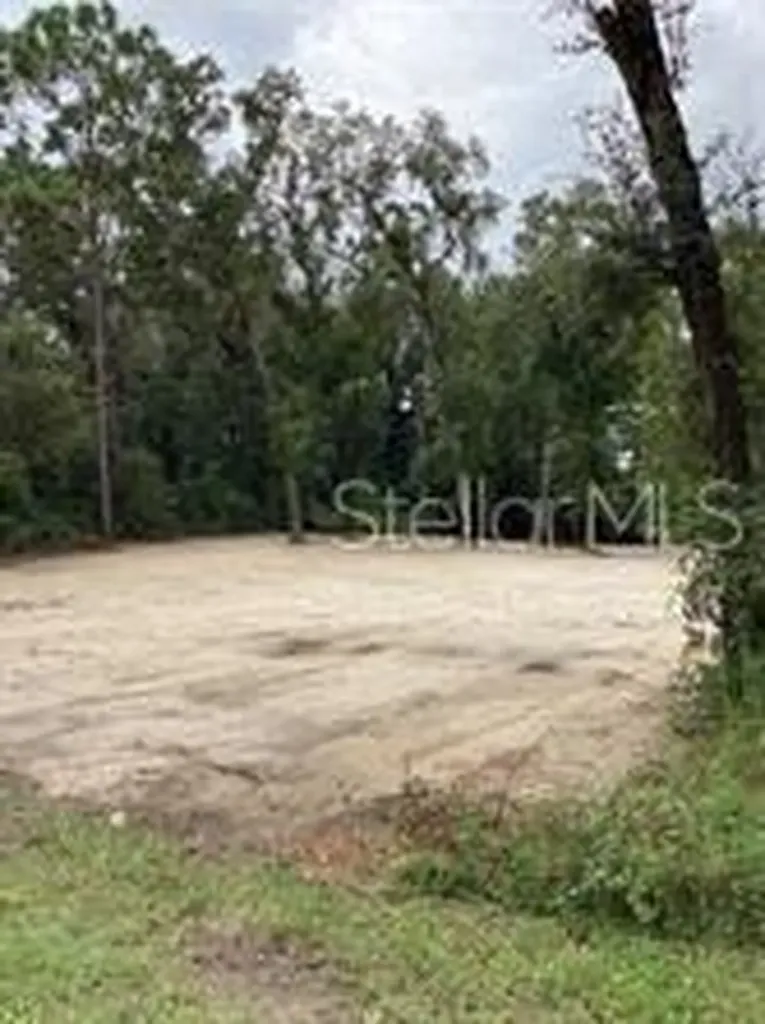 Smallman Street Webster FL 33597