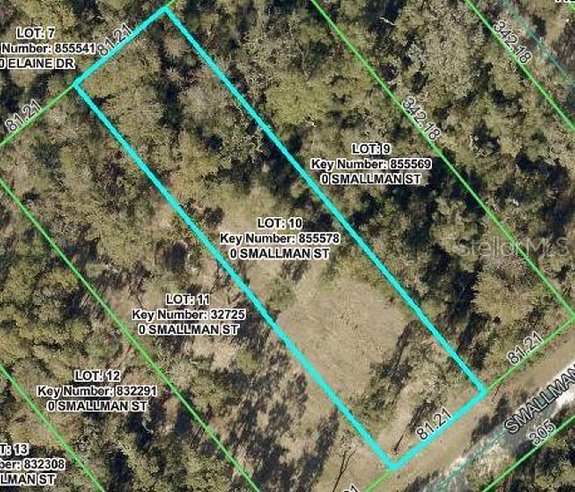Smallman Street Webster FL 33597