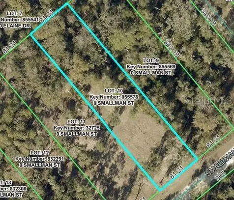 Smallman Street Webster FL 33597