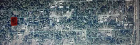 Tbd NE NE 204th Lane Fort Mc Coy FL 32134
