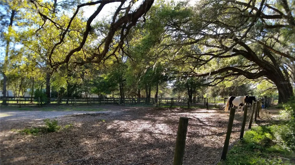 18635 Phillips Road Brooksville FL 34604