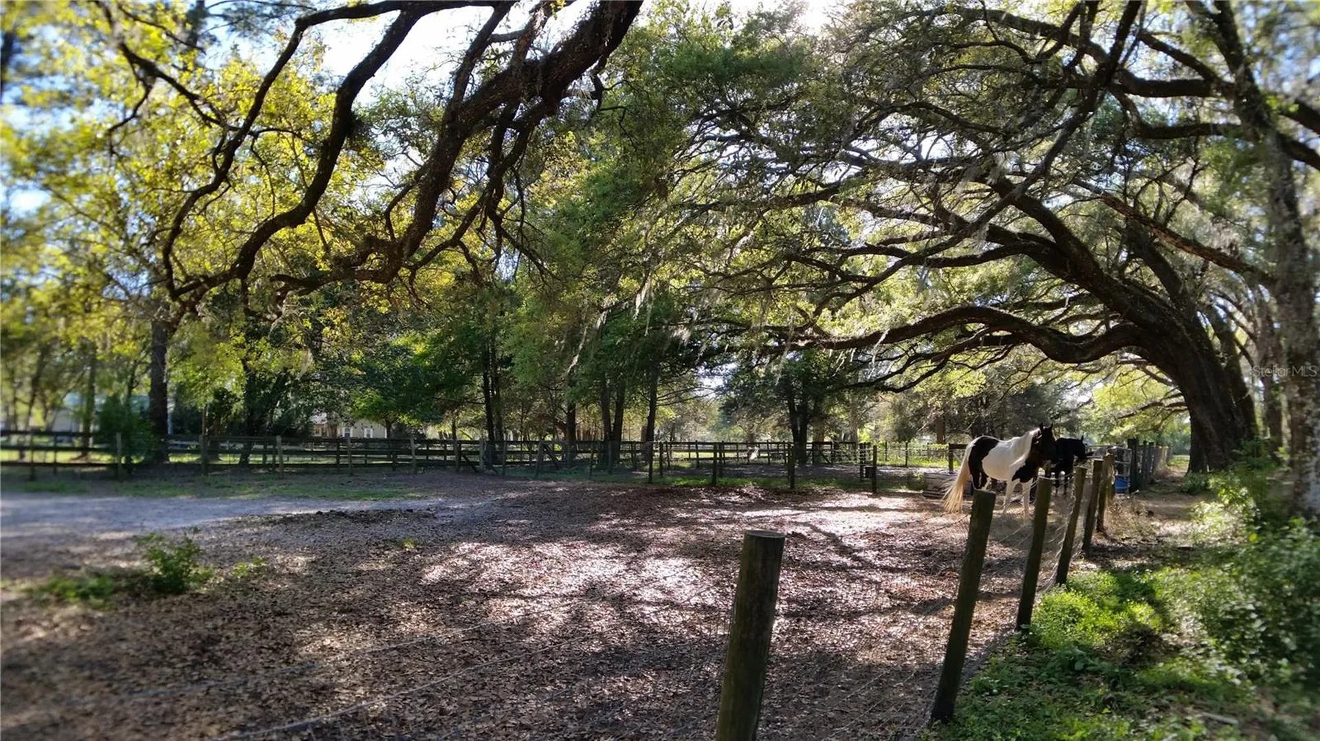 18635 Phillips Road Brooksville FL 34604