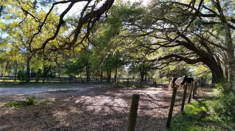 18635 Phillips Road Brooksville FL 34604
