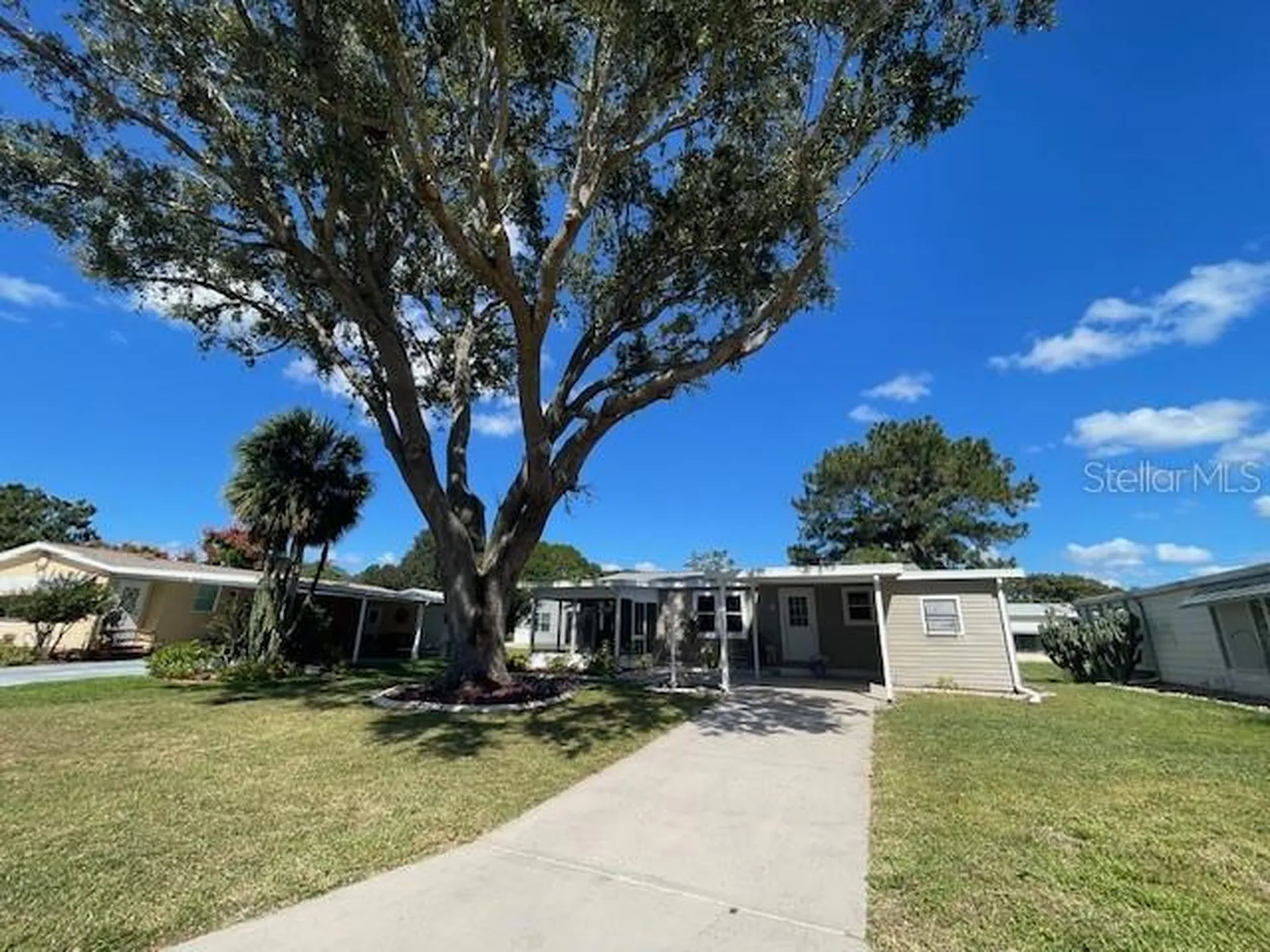 909 Orchid Street Lady Lake FL 32159