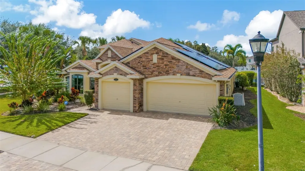 19361 Yellow Clover Drive Tampa FL 33647