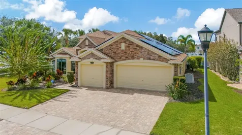 19361 Yellow Clover Drive Tampa FL 33647
