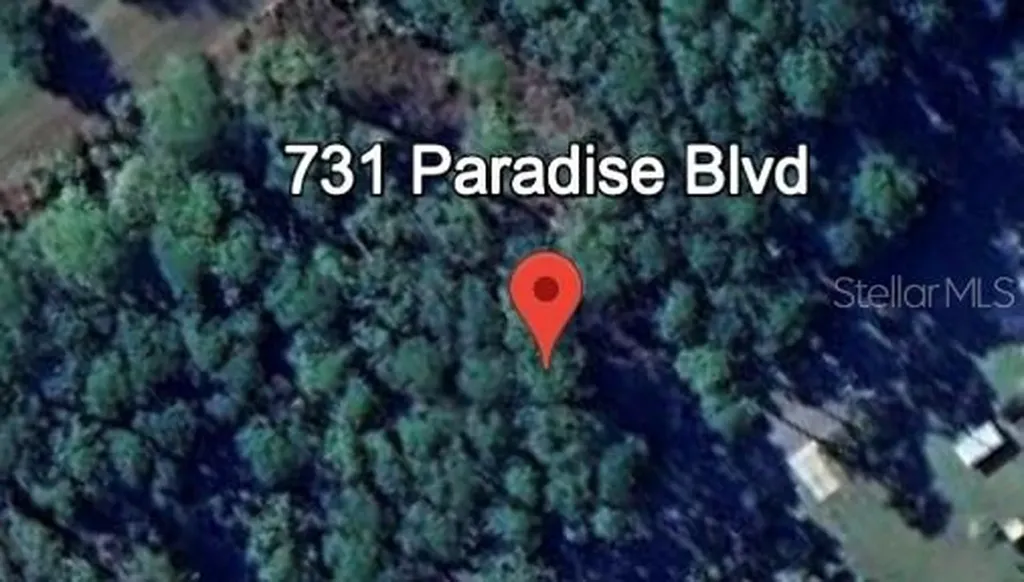 731 Paradise Boulevard Georgetown FL 32139