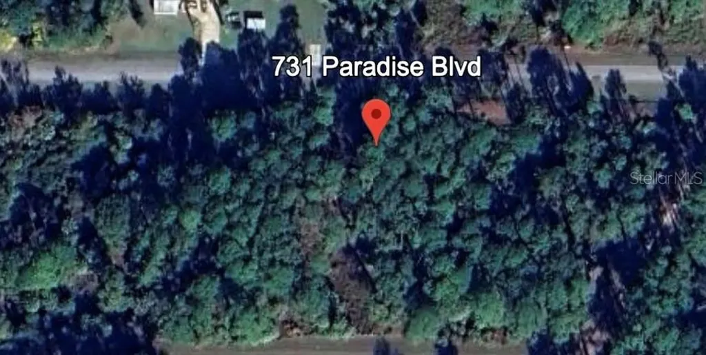 731 Paradise Boulevard Georgetown FL 32139