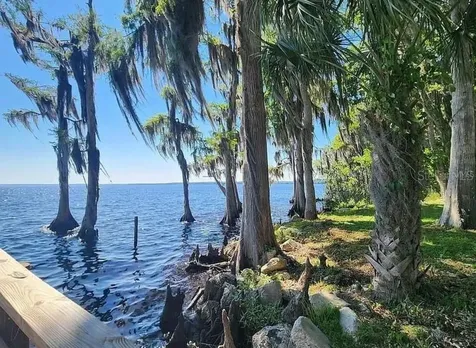 731 Paradise Boulevard Georgetown FL 32139