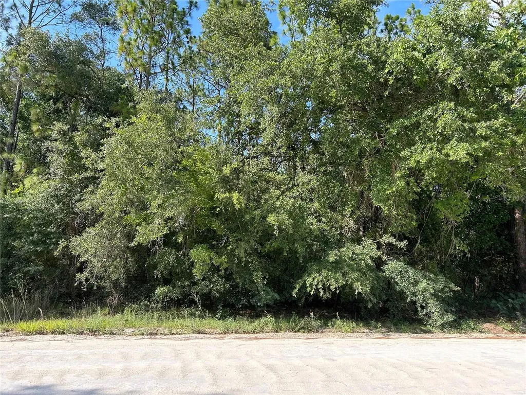 Tbd SE 140 Avenue Morriston FL 32668