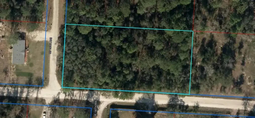 Tbd SE 140 Avenue Morriston FL 32668