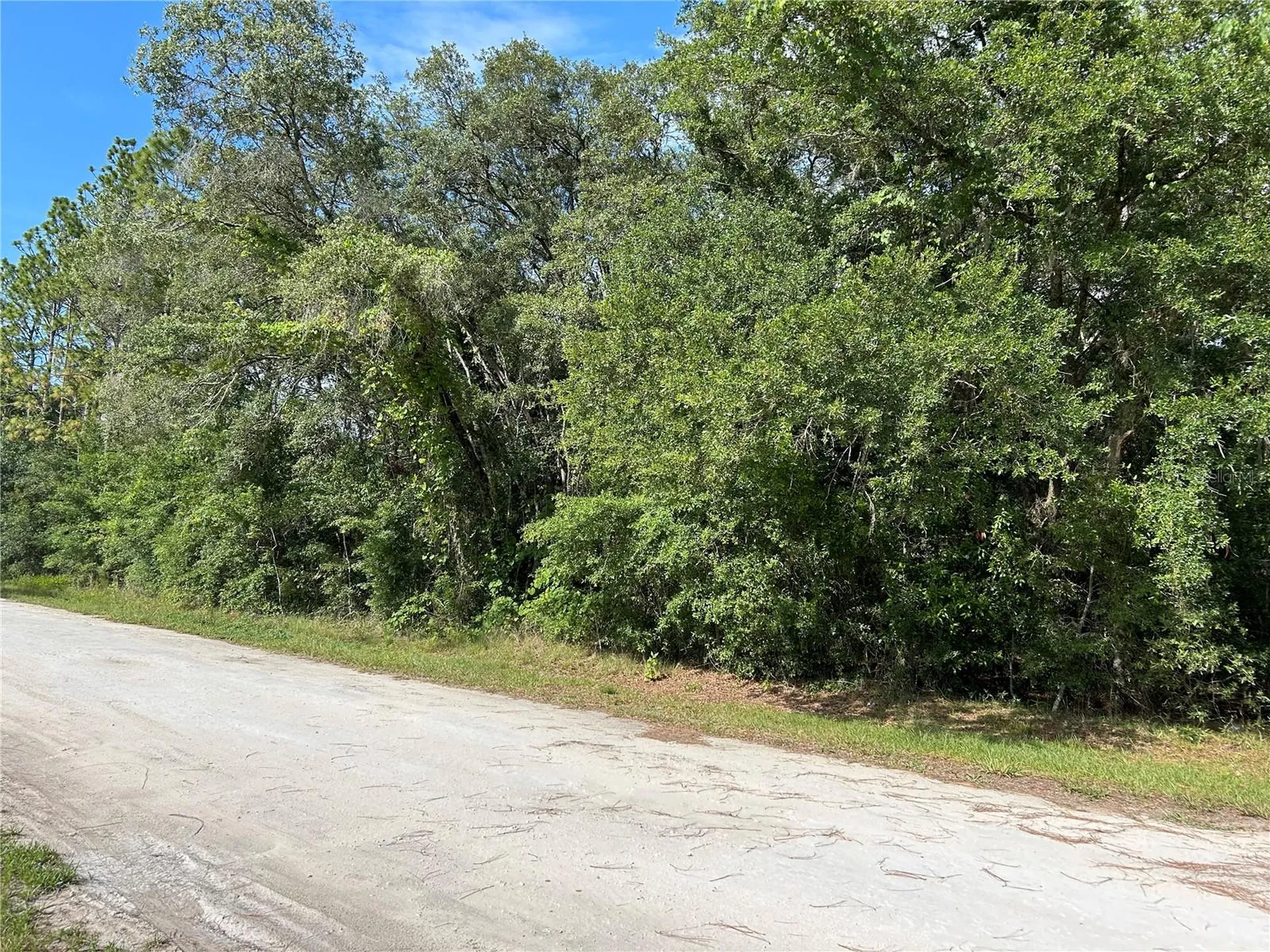 Tbd SE 140 Avenue Morriston FL 32668