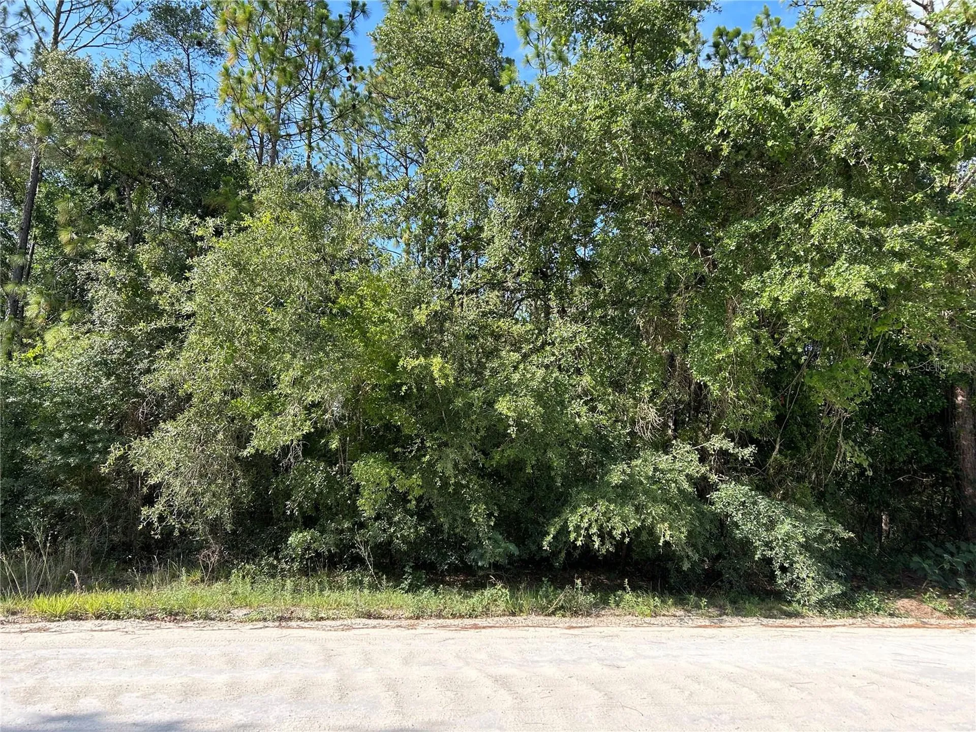 Tbd SE 140 Avenue Morriston FL 32668