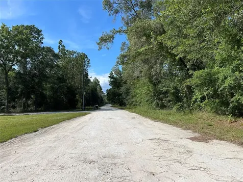 Tbd SE 140 Avenue Morriston FL 32668