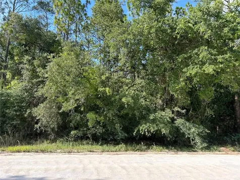 Tbd SE 140 Avenue Morriston FL 32668