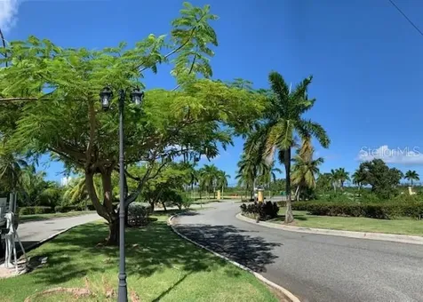 CARRETERA#3 Km38.3 Paisajes Del Río Luquillo PR 00773
