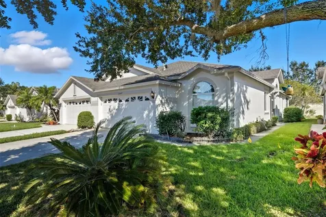 30049 Emmetts Court Wesley Chapel FL 33543