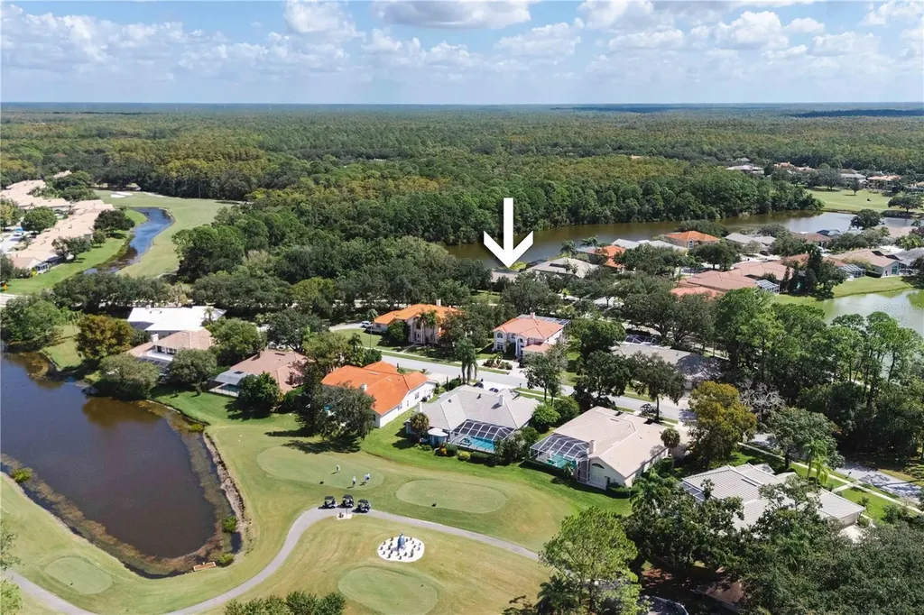 2151 Diamond Court Oldsmar FL 34677