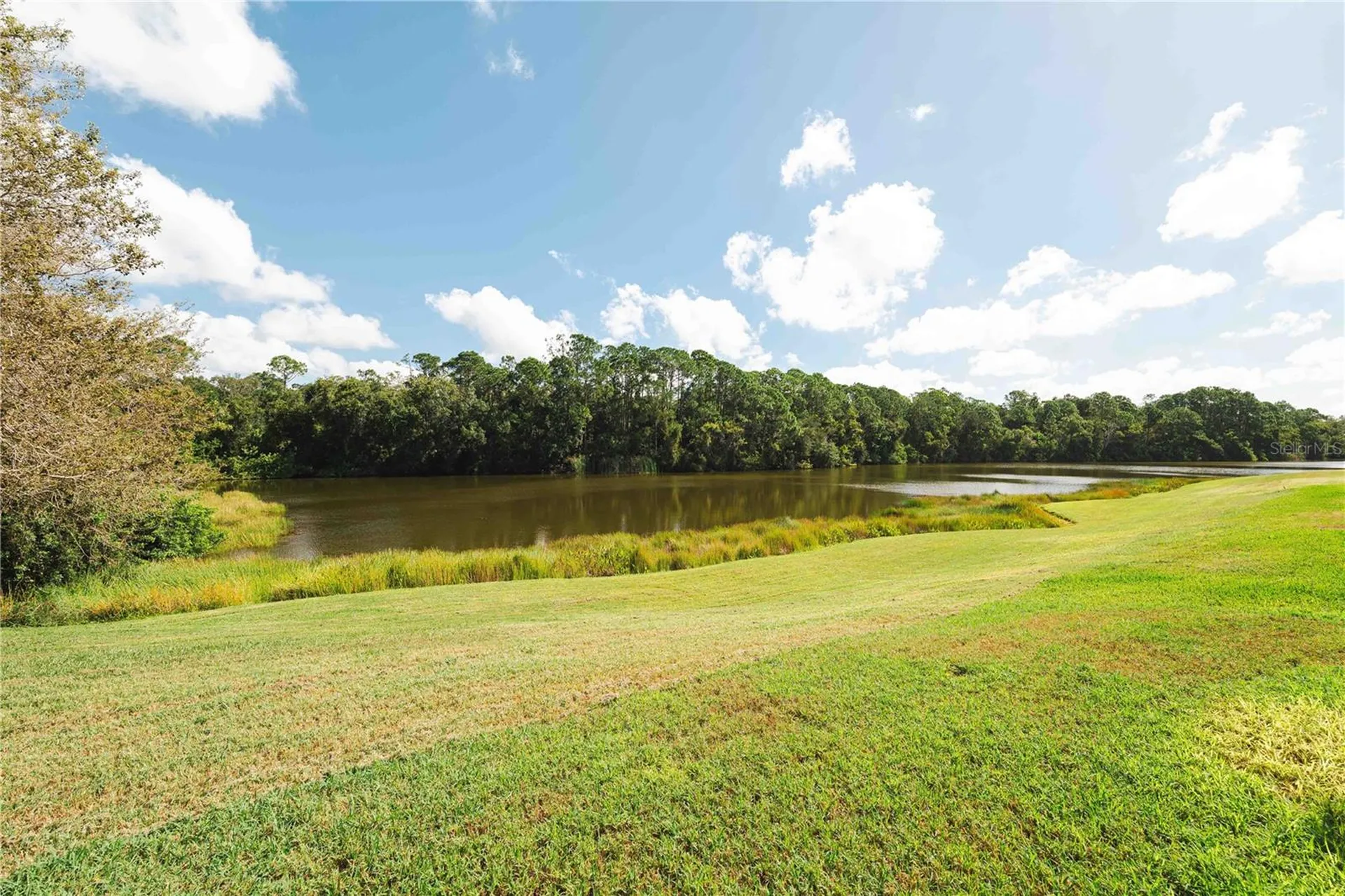 2151 Diamond Court Oldsmar FL 34677