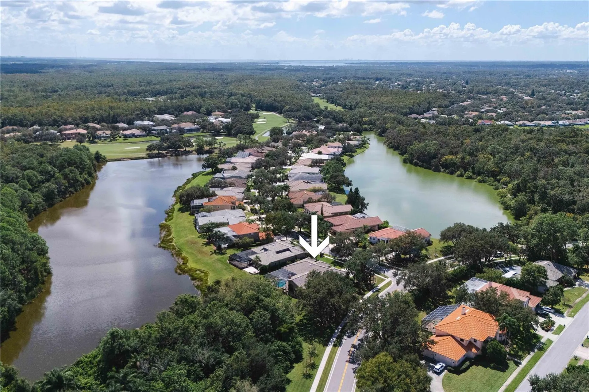 2151 Diamond Court Oldsmar FL 34677