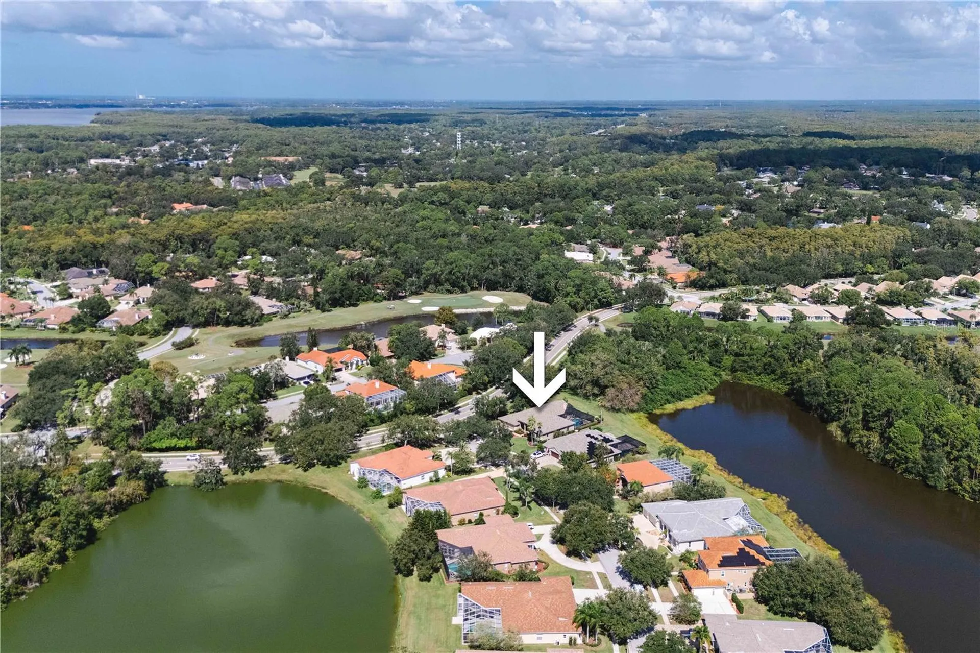 2151 Diamond Court Oldsmar FL 34677