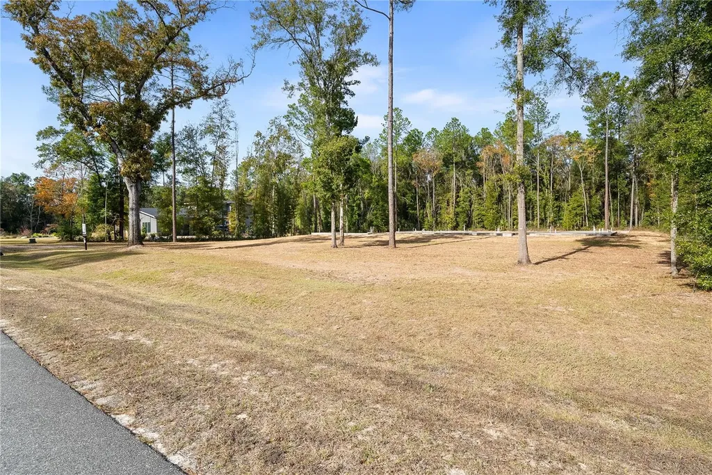 12364 SW 16th Lane Newberry FL 32669