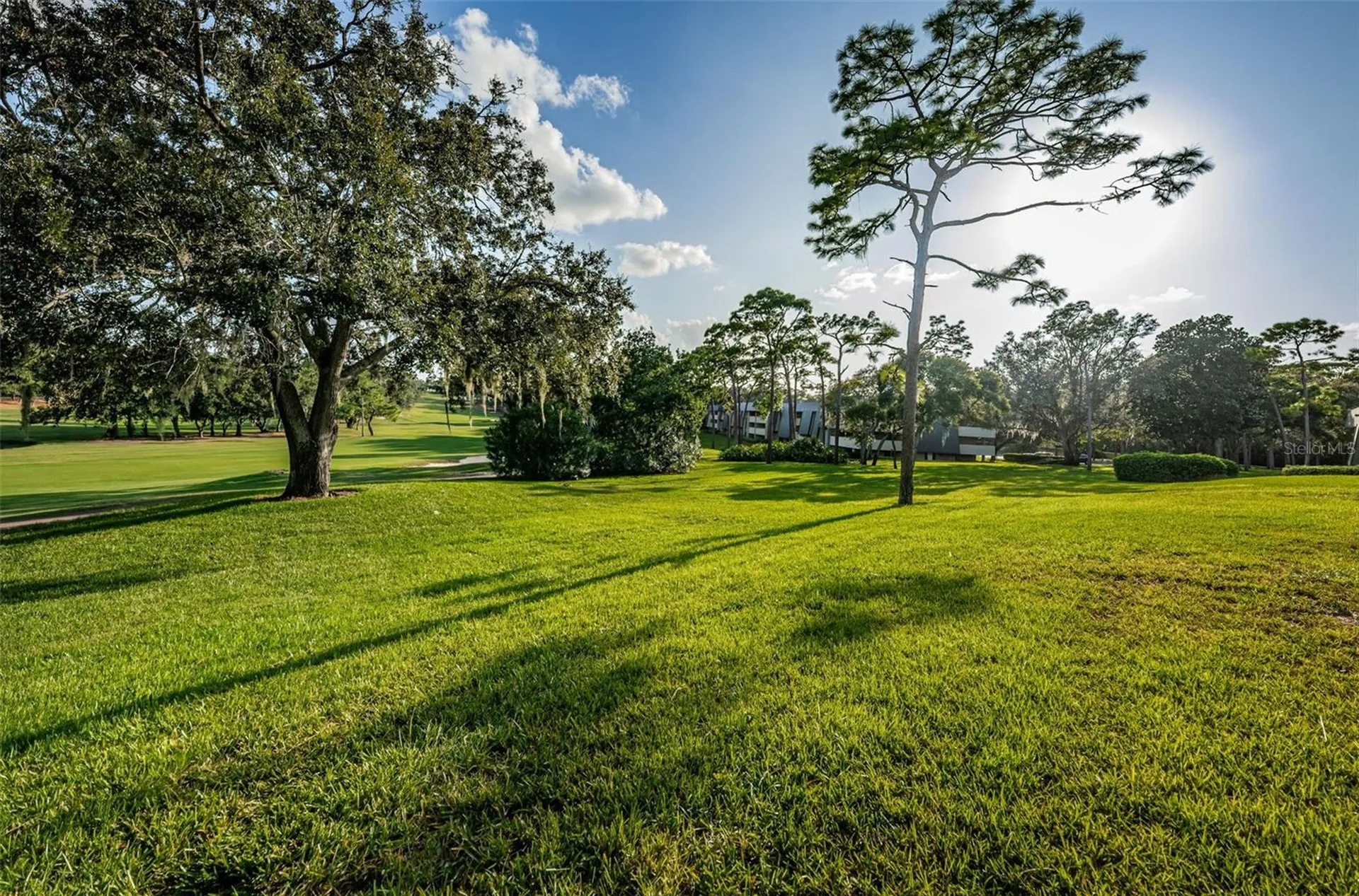 36750 Us Highway 19 Palm Harbor FL 34684