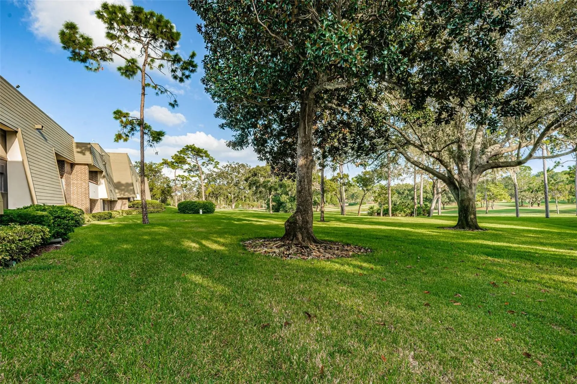 36750 Us Highway 19 Palm Harbor FL 34684